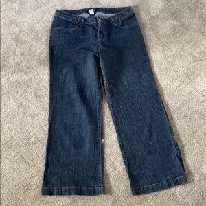Lane Bryant Venezia jeans, plus size 3